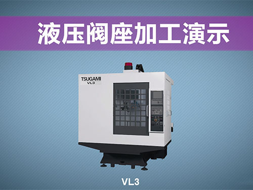 VL3液压阀...