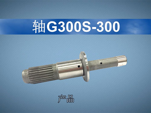 G300S-...